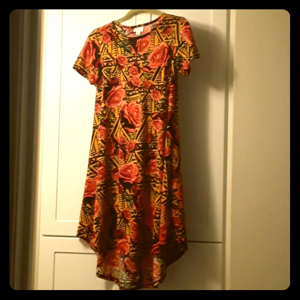 LuLaRoe Carly Dress